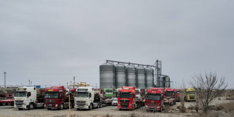 Group of the Companies TDA Leadership Convicted of Smuggling, Except Nazarbayev’s Sister