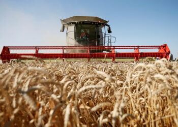 In Shymkent, a top manager of an agricultural fund and a businessman were convicted of embezzlement of budget funds