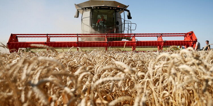 In Shymkent, a top manager of an agricultural fund and a businessman were convicted of embezzlement of budget funds