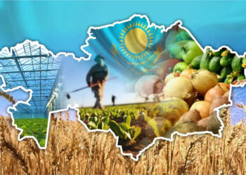 Audit reveals inefficient use of 66 billion tenge by Kazakhstan agricultural officials