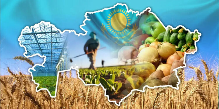 Audit reveals inefficient use of 66 billion tenge by Kazakhstan agricultural officials