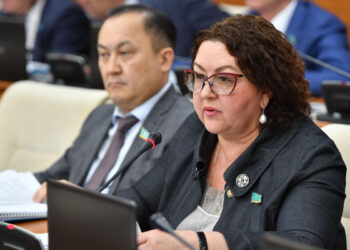 Majilis Deputy Irina Smirnova: Why train teachers in useless courses?